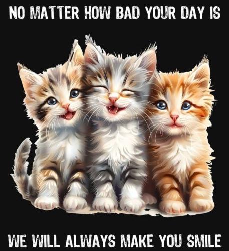 6ea9c310f18393bc17b53ceb2767e2d8