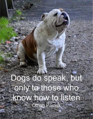 FB_IMG_1748898975992