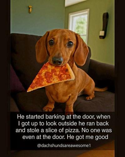 FB_IMG_1750873155461