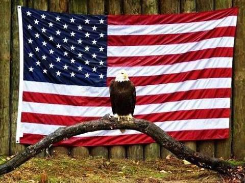 0a7244d0-7cda-4fbb-ae76-9d555f1aa897