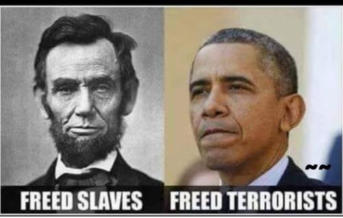 BF15242C-552C-4989-8199-A79000C56134