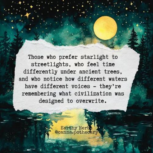 510749118_1257753592598724_8207065843568381614_n