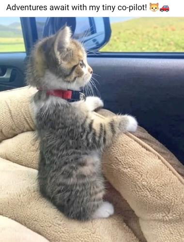 Screenshot_20250625_165905_Facebook_resized