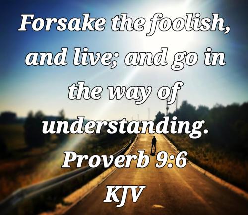 e4252f1a-ebed-4d12-b11c-a11d4c49a2b8