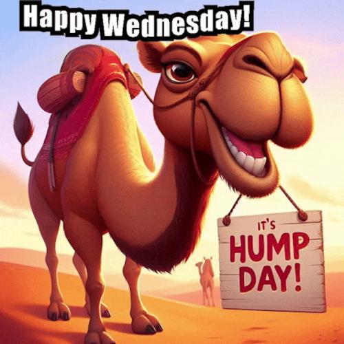 1-Hump Day