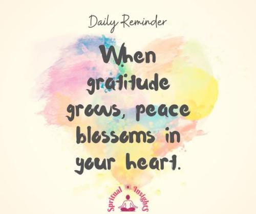 508524638_1280821460715203_4919948986743965180_n