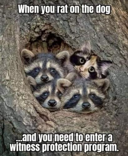 da80bcf8069c990db48f38916f63c9d2