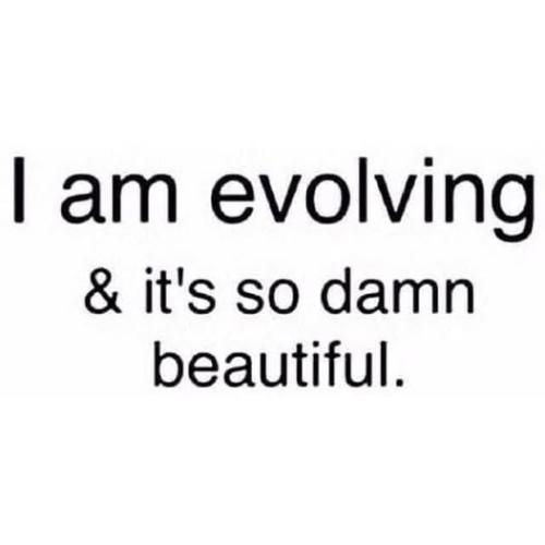 490291978_676016291981233_563360900723065362_n