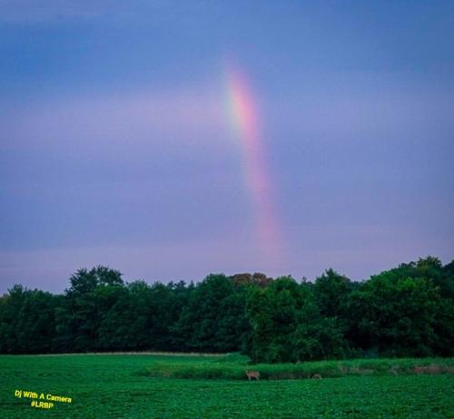 Screenshot_20250605_065431_Gallery