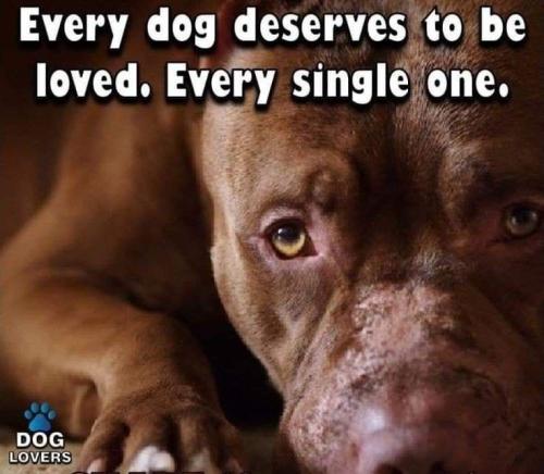 2326569afe6b471c6b025bfd98b919dc