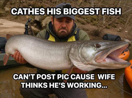 FB_IMG_1749757228836