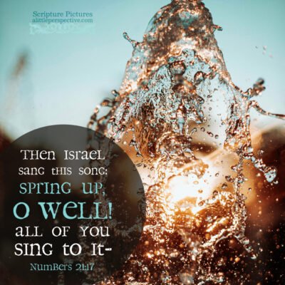 num-21-17-NKJV-unsplash-400x400