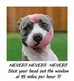 FB_IMG_1750582449621