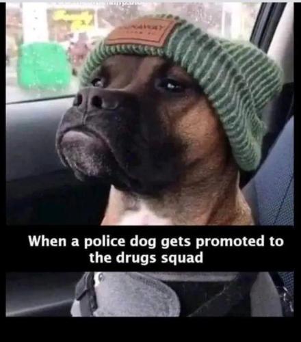 1f59048d461fe92a6a135e581795dd89