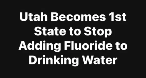 image_2025-06-26_063610351