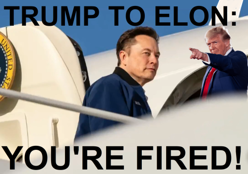 494574133_1782201539075200_8313403238987932541_n