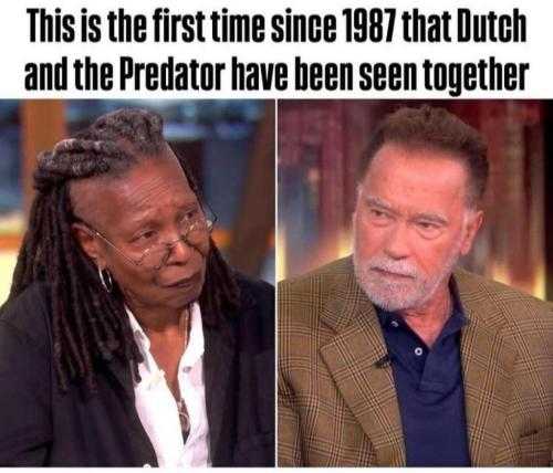 039ac0b6-ccac-42fb-9be6-844639d751f7