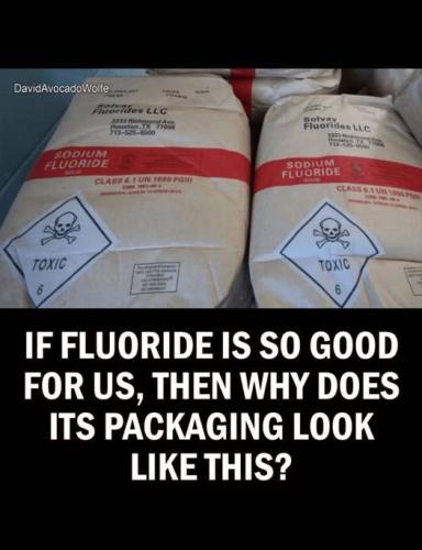 cfcc1b3e876206acd8b98be2934cfba7_1024