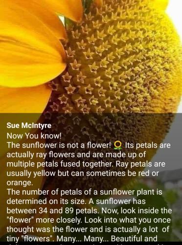 15:41:02 GMT-0500 (CDT)