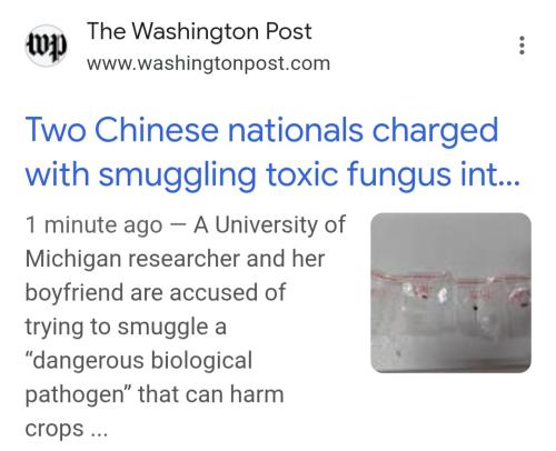 Screenshot_20250604_120632_Google(1)