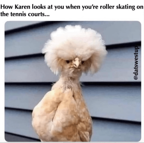 hat-karen-looks-at-roller-skating-tennis-courts-on-datswestup