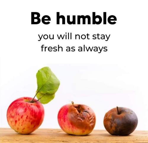 16e57ab6a96f8e3cb91399191199d66a