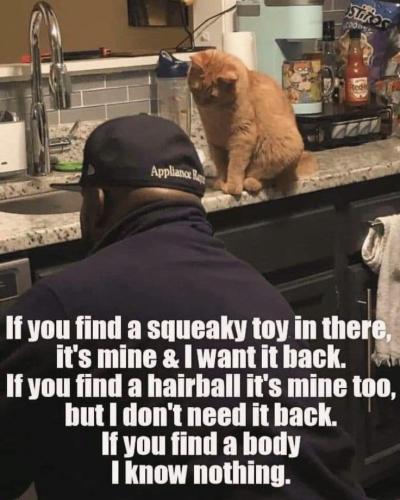 b691f3d301e78a7dee76bd93a09411f9