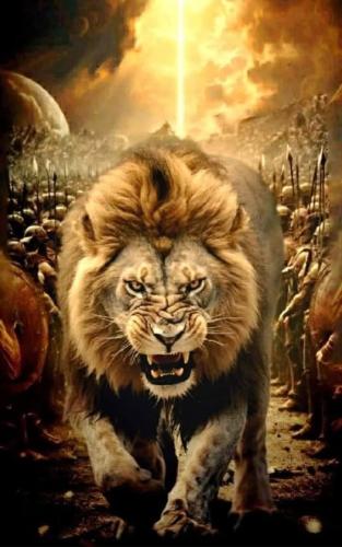 490224828_1160144605885630_2227170753072091046_n