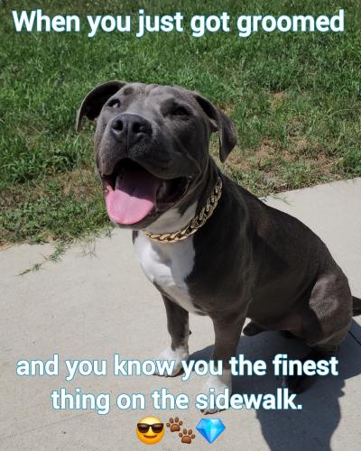 FB_IMG_1749843180062