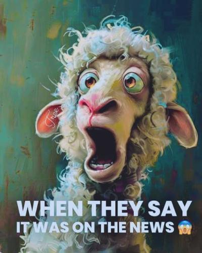 489940829_122158015634546998_3231534240410860272_n