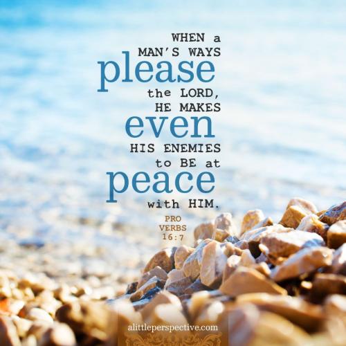 pro-16-7-KJV-pexels-9x