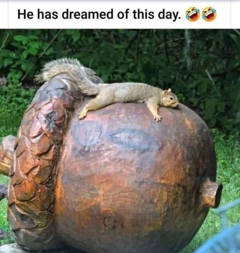 IMG_20250609_144025_718