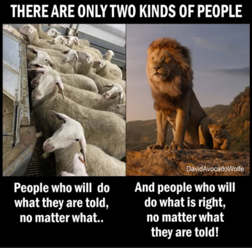 Screenshot 2025-06-16 175313