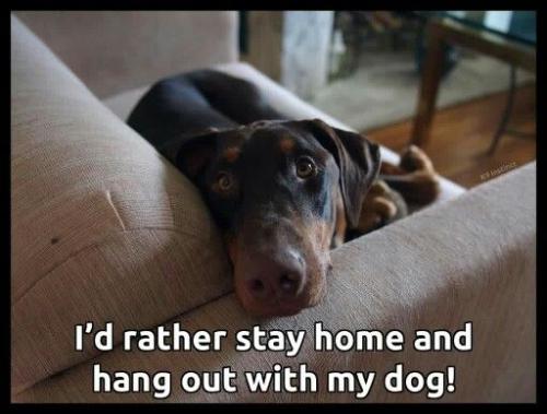 f745d84b4140b797c993d3071715d6fe (1)