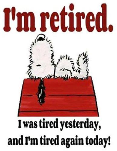 b221bc2607a0575b12d617d7d806f14a