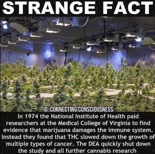 IMG_20250613_031748_078