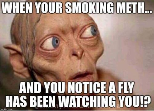 FB_IMG_1559960628624