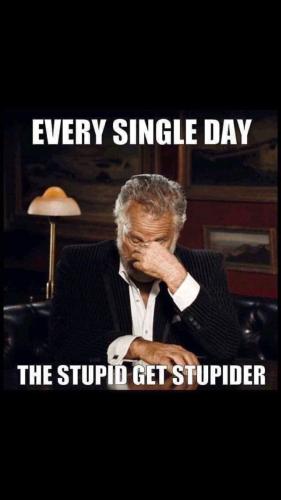 83435bff840dd546a1b8195f82914511