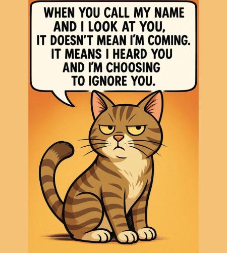 FB_IMG_1750353084643