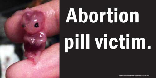 2024AbortionPillAVPBanner
