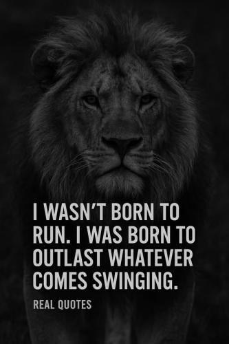 489089486_122161031480365267_1159248566735498834_n