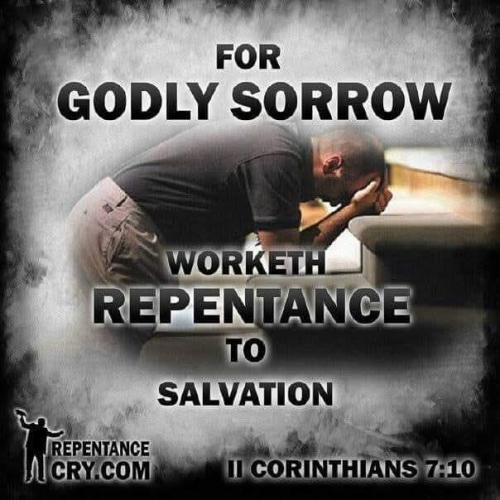 43bcae4e-a3ca-4390-9dbd-b20bccbf8795