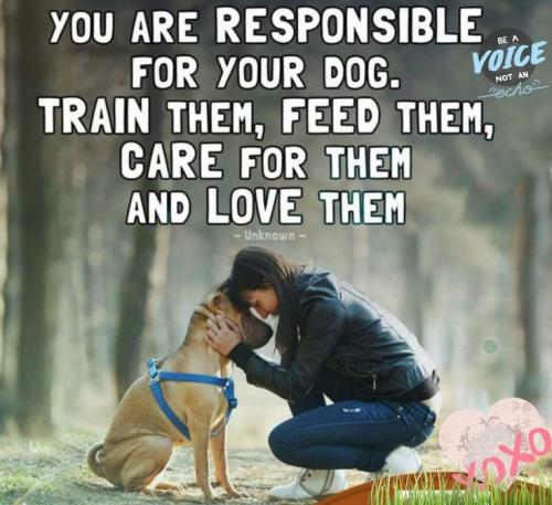 488f1e222949242f8451967f8f4ecc0d