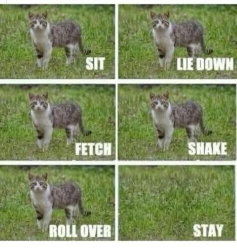 f05e9ec90b081191400e378fe6539cfa