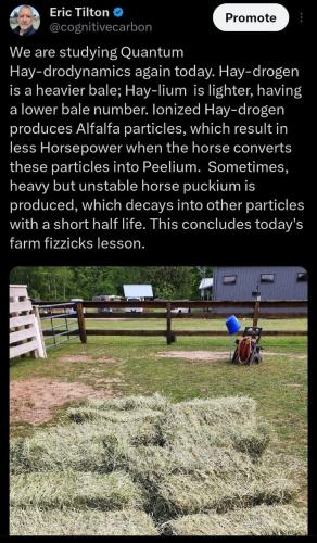 IMG_20250605_102843_490