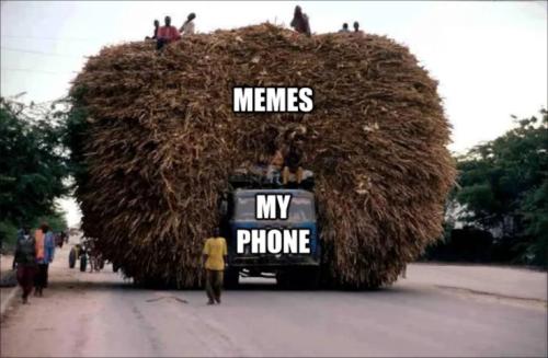 my phone