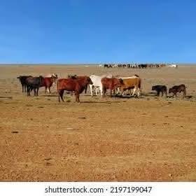 81d33c5b-094d-4462-bb54-594071e9d743