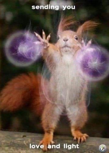 494224819_728400650076130_5158240515149772940_n