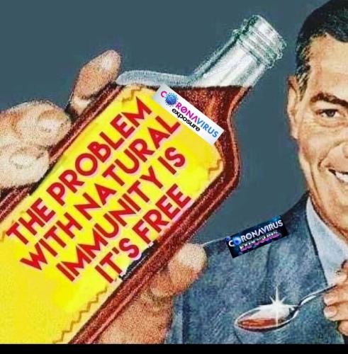 471620827_896774785946233_322798876816431927_n