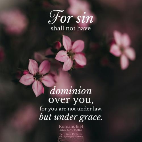 rom-6-14-NKJV-unsplash